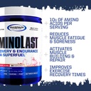 Gaspari Nutrition Aminolast, Recovery and Endurance BCAA Superfuel, 2:1:1 Amino Acid Ratio, Fueled with Electrolytes (30 Servings, Lemon Ice) 5