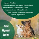 Dogzymes Organic Norwegian Kelp for Pets, a Valuable Nutrition Source Rich in Iodine to Support Gland Function, Especially The Thyroid (3 Pound) 5