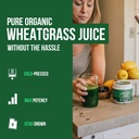 Organic Wheatgrass Juice Powder - Organic, Grown in Volcanic Soil of Utah - Raw BioActive Form, Cold-Pressed Then CO2 Dried, 20:1 Concentrate Juice Extract - Unflavored (5.3 oz – 60 Servings) 3