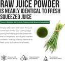 Organic Wheatgrass Juice Powder - Organic, Grown in Volcanic Soil of Utah - Raw BioActive Form, Cold-Pressed Then CO2 Dried, 20:1 Concentrate Juice Extract - Unflavored (5.3 oz – 60 Servings) 4