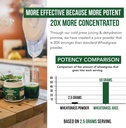 Organic Wheatgrass Juice Powder - Organic, Grown in Volcanic Soil of Utah - Raw BioActive Form, Cold-Pressed Then CO2 Dried, 20:1 Concentrate Juice Extract - Unflavored (5.3 oz – 60 Servings) 6