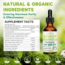 Soursop Graviola Liquid Drops - 2000mg Pure Soursop Extract Blended with 300mg Sea Moss & 100mg Elderberry - Powerful Cell Support, Antioxidant-Rich, Immune-Boosting - 2 Fl Oz (60ml) Bottle 5
