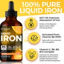 Liquid Iron Supplement with Vitamins B6, B9, B12, C, Folate & MCT Oil (2 Fl Oz, Citrus) + Pure Himalayan Shilajit Resin 600mg for Immune Support & Energy (68g) 6