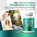 Sea Moss Supplement - 16-in-1 Natural Blend with Black Seed Oil Ashwagandha Burdock Bladderwrack Ginger Dandelion - 150 Count - Made & Tested in The USA 3