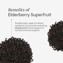 Hydralyte Electrolytes Plus Immunity, Elderberry - Low Sugar Rapid Rehydration Powder - Lightly Sparkling Electrolyte Powder Packets with 1,000mg Vitamin C and 300 mg Elderberry (8oz Serve, 20 Count) 6