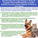 PhosFix for Cats & Dogs: Phosphorus Binder for Cats & Dogs to Support Normal Phosphorus Levels and Kidney Function, Chitosan for Restoring Kidney Health Naturally. A Special Renal Supplement 3
