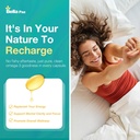 Omega 3 FishOil Supplements - 1000mg Fish Oil 788 mg Omega-3 Fatty Acid Burpless, 488 DHA & 180 EPA for Muscle Bone Heart Brain Support and Health, Supplements for Men and Women, 240 Softgels 6