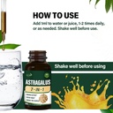 Astragalus Root Extract Herbal Drops for Immune System Support, Immunity Health & Energy Boost Tincture Supplements with Rhodiola Rosea, Echinacea, Elderberry, Reishi, Ginseng. Huang Qi. 2oz 6