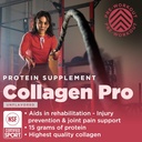 Gnarly Nutrition Collagen Peptides – Gnarly Collagen Pro with Vitamin C, Zinc & Copper – NSF Sport Certified, Protein Synthesis Vitamin Powder – Unflavored, 16.05 oz (30 Servings) 4