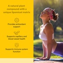 Natural Factors Quercetin LipoMicel Matrix - Supports Immune Health & Capillary Health - Antioxidant Support Supplement with Highly Absorbable Quercetin - 120 Softgels (120 Servings) 3