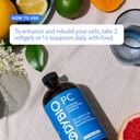 BodyBio PC - Phosphatidylcholine for Brain Health, Mental Clarity, Cognitive Function, Cellular Repair & Healthy Aging, Phospholipid Complex Supplement for Gentle Daily Detox 5