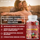 Plant.O Organic Probiotic Gummies for Women, Men & Kids [5 Billion CFUs USDA Certified] Help Support Digestion, Bloating, Constipation & Immune System, Strawberry Flavor, 30 Chewable Probiotics 6