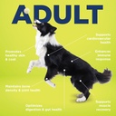 Vetericyn All-in 1 Multifunctional Dog Supplement | Digestive Enzymes + Glucosamine and Chondroitin for Bone and Joint Support + Vitamins, Antioxidants, Prebiotics, Probiotics, and Omegas. 90 Count 3