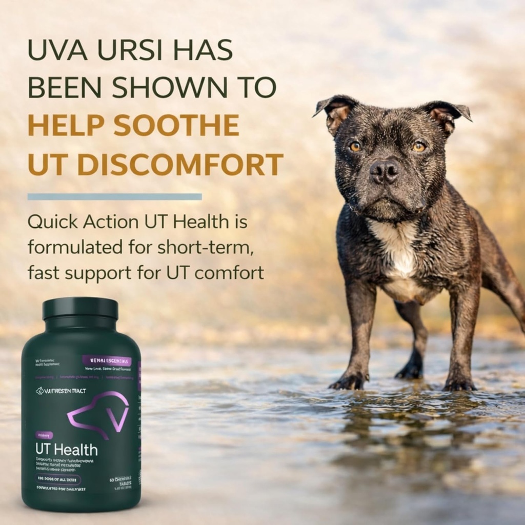 VetriScience Quick Action UT Health Chewable Tablets, UT Strength STAT Supplement for Dogs, Cranberry, Uva Ursi, and Chanca Piedra to Soothe Urinary Tract Discomfort, Smoke, 90 Count 3