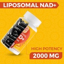 2000 MG NAD Supplement, Liposomal NAD+ with High Absorption, More Efficient Than Nicotinamide Riboside, Pure & Plus Boosting Supplement, Aging Defense, Metabolism & Cellular, 240 softgels 4