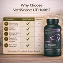 VetriScience Quick Action UT Health Chewable Tablets, UT Strength STAT Supplement for Dogs, Cranberry, Uva Ursi, and Chanca Piedra to Soothe Urinary Tract Discomfort, Smoke, 90 Count 6