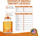 Quercetin 50 mg Zinc 1000 mg Vitamin C 5000 IU Vitamin D3 1000 mg Turmeric 1000 mg Elderberry with Q-Defend Immune Blend Reisshi Nettle Arteemisinin, Non-GMO, Mineral Supplements,60 Capsules 6