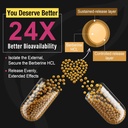 Berberine Supplement 1200mg - High Bioavailability Berberine HCL Microbeadlets,GLP-1 & AMPK Activator for Women Men 90 Vegan Capsules 3