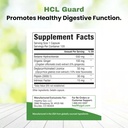 Healthy Gut HCL Guard+ | Promotes Healthy Digestive Function | Betaine Hydrochloride, Organic Ginger Root, DGL, and Pepsin | 60 Servings 3