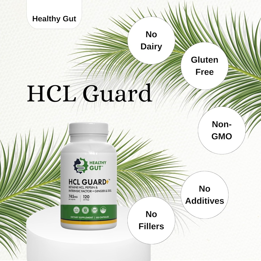 Healthy Gut HCL Guard+ | Promotes Healthy Digestive Function | Betaine Hydrochloride, Organic Ginger Root, DGL, and Pepsin | 60 Servings 4