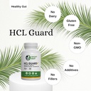 Healthy Gut HCL Guard+ | Promotes Healthy Digestive Function | Betaine Hydrochloride, Organic Ginger Root, DGL, and Pepsin | 60 Servings 4