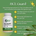 Healthy Gut HCL Guard+ | Promotes Healthy Digestive Function | Betaine Hydrochloride, Organic Ginger Root, DGL, and Pepsin | 60 Servings 5