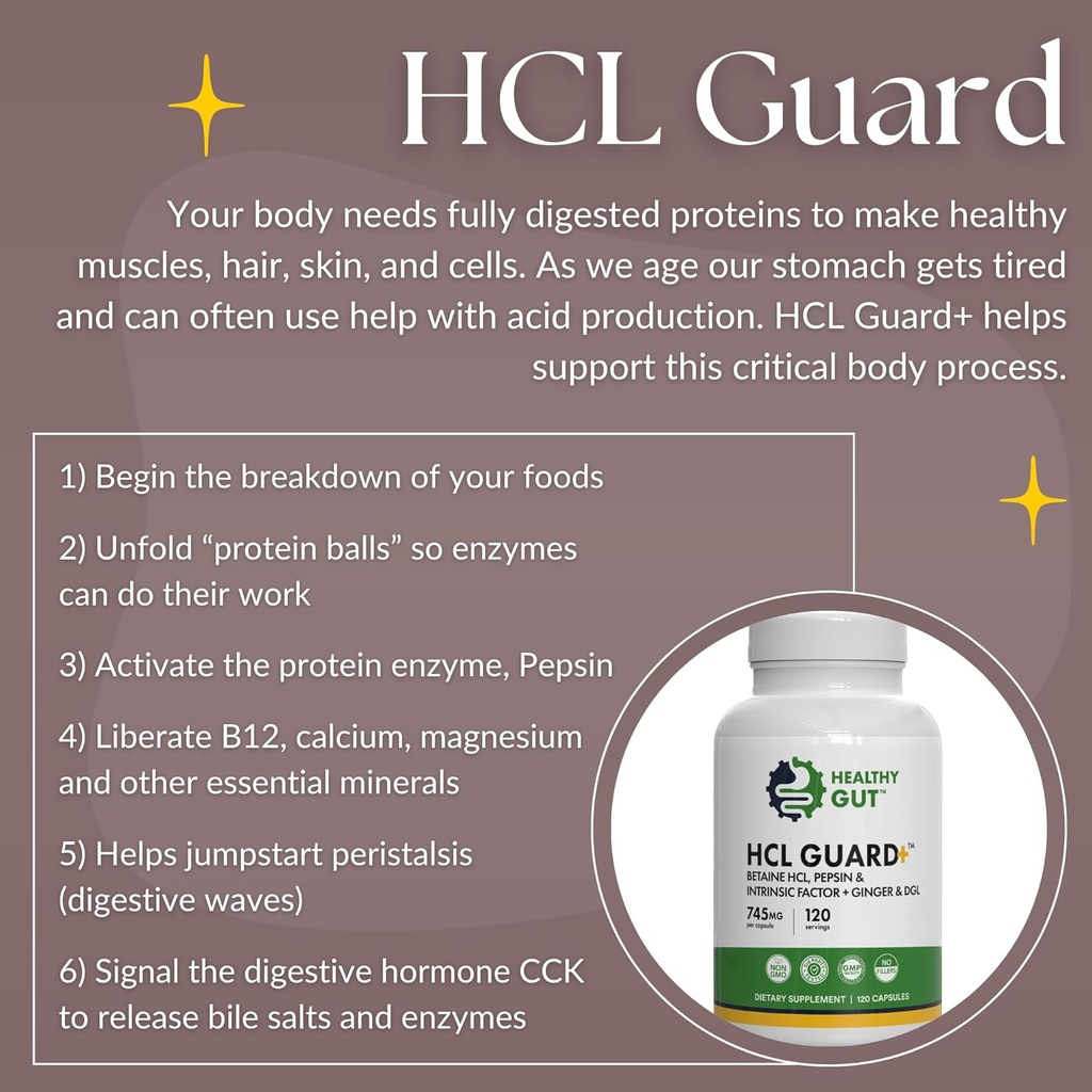 Healthy Gut HCL Guard+ | Promotes Healthy Digestive Function | Betaine Hydrochloride, Organic Ginger Root, DGL, and Pepsin | 60 Servings 6
