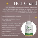 Healthy Gut HCL Guard+ | Promotes Healthy Digestive Function | Betaine Hydrochloride, Organic Ginger Root, DGL, and Pepsin | 60 Servings 6