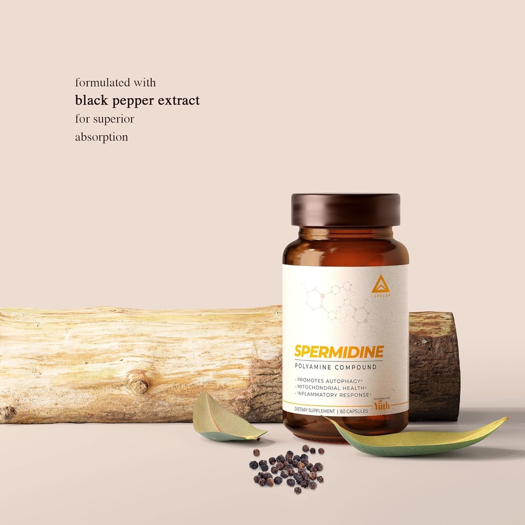 LevelUp Spermidine Capsules, Most Researched Spermidine, 99% Concentration, 100x Potent Than Wheat Germ Extract for Anti-Aging DNA Telomere Support 60 Count 6