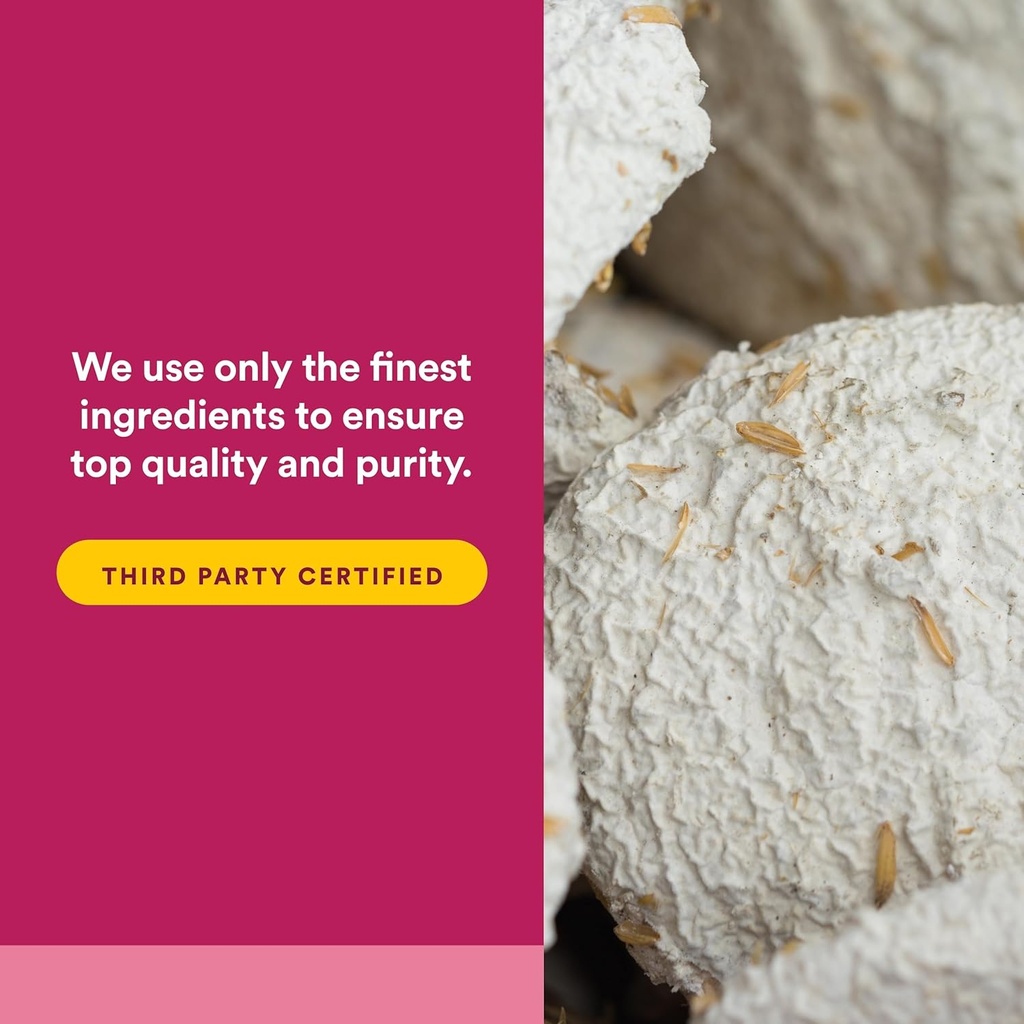 Natural Factors, SelenoExcell Selenium 200mcg, Antioxidant & Immune Support, 90 Capsules 6