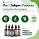 Rejuvica Health Active Adrenal + VitaLiver - Support Stress + Liver - Liquid Delivery for Better Absorption - Rhodiola, Milk Thistle, Holy Basil, Artichoke, 5