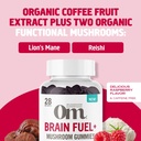 Om Mushroom Superfood Brain Fuel+ Gummies, 28 Servings, Raspberry Gummy Supplement with Lion’s Mane for Memory and Focus 5