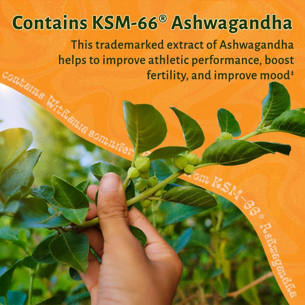 LUV Everyday™ Men's Multivitamin Men's Adult Formula Daily Nutritional Support with Iron Calcium KSM-66 Ashwaganda CoQ10 and Lycopene - Highly Bioavailable Non GMO Gluten Free Vegetarian - 60 Capsules 6