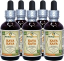 Kava Kava (Piper Methysticum) Glycerite, Dried Root Alcohol-Free Liquid Extract (Brand Name: HerbalTerra, Proudly Made in USA) 2x2 fl.oz (2x60 ml) 3