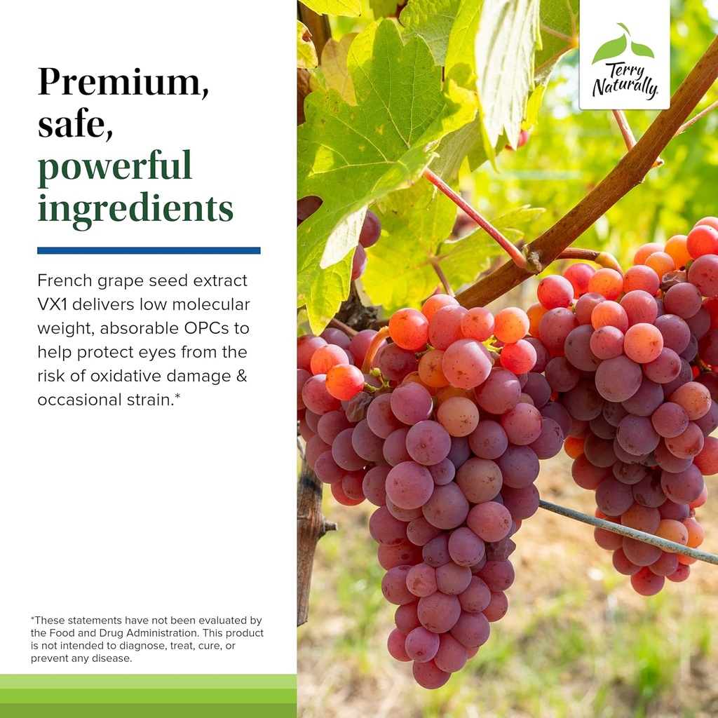 Terry Naturally Healthy Night Vision - Antioxidant Supplement to Support Eye Health & Aids Against Eye Fatigue - Vision Health Supplement to Support Healthy Macula with Zinc & Vitamin A - 60 Capsules 6