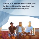 LifeLink 5-HTP (5-Hydroxy-L-Tryptophan) | 25 mg x 90 sublingual Tablets | Precursor to Serotonin | Made in The USA 5
