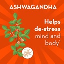 Align Probiotic, Digestive De-stress, Probiotic for Women and Men with Ashwagandha, Helps with a Healthy Response to Stress, Gluten Free, Soy Free, Vegetarian, 21 Capsules 5