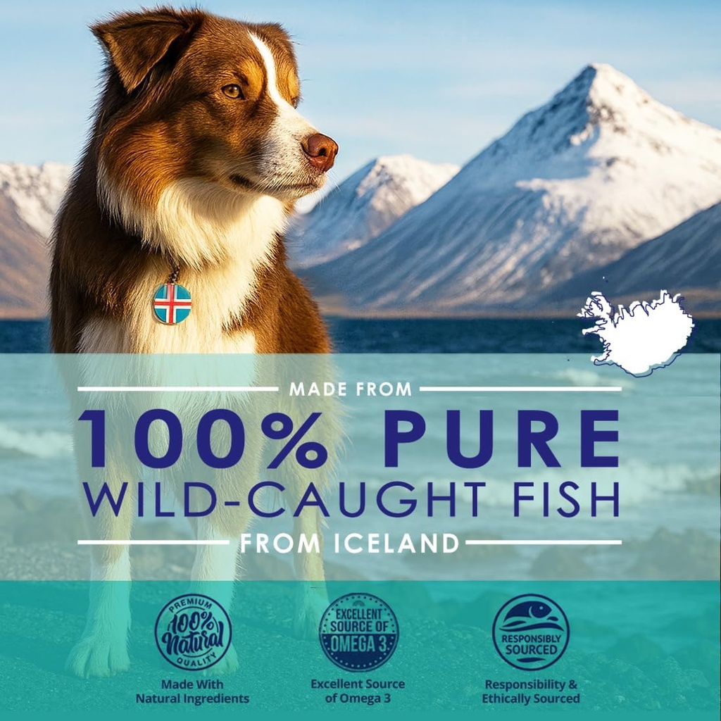 Liquid Fish Oil for Dogs with Omega 3, 6 & 9 Fatty Acids, Wild Caught from Iceland, Skin and Coat Supplement for Shedding, Itchy Skin, Allergies, Brain and Heart Health, Rich in EPA + DHA - 32 oz 3