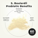 LifeSeasons Essentials S. Boulardii Probiotic - Supports Immune Function & Digestive Regularity - Promotes A Healthy Gut & Stronger Intestinal Lining - Eases Digestion - Saccharomyces - 60 Capsules 3