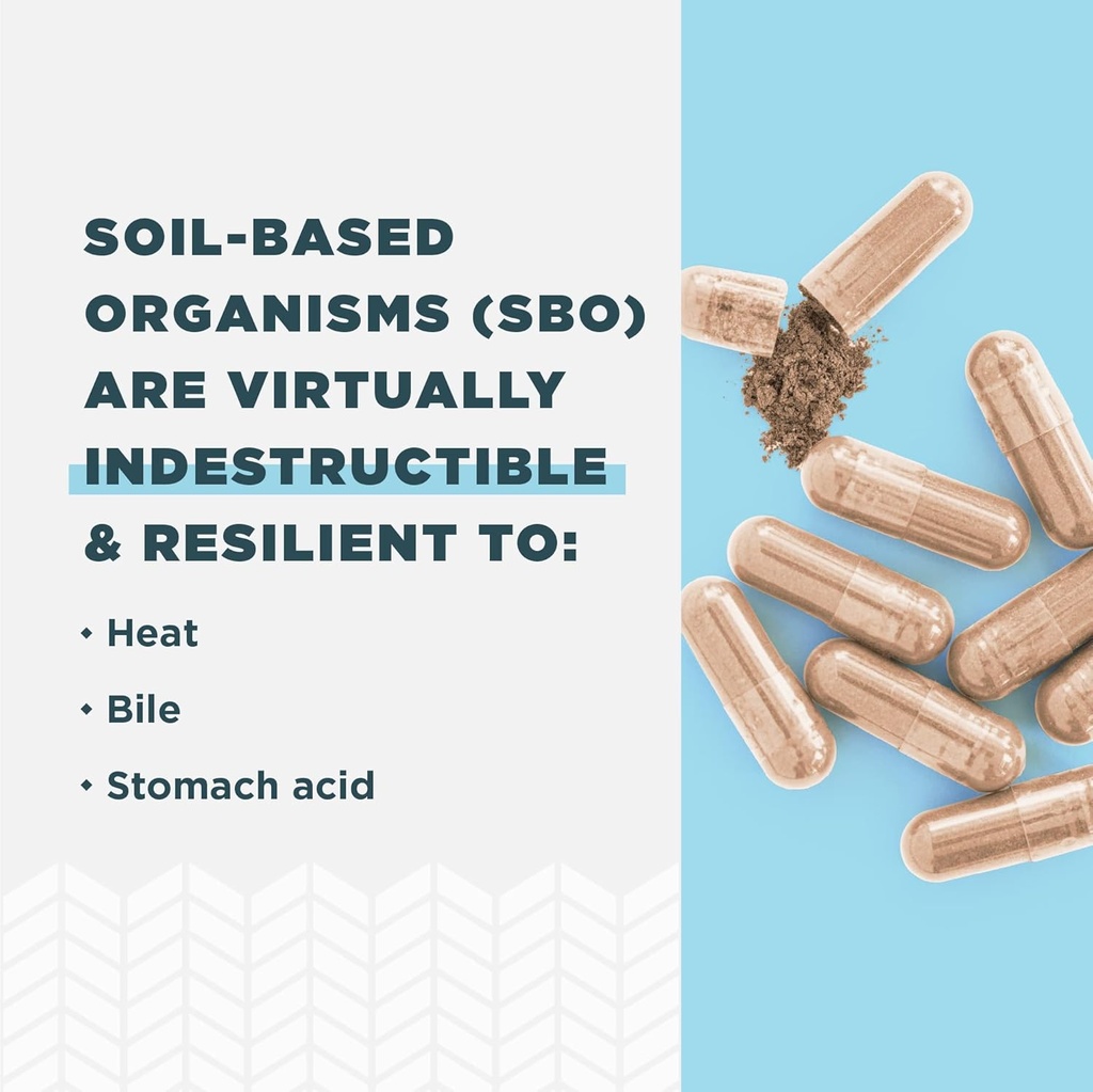 Ancient Nutrition Probiotics for Men, SBO Probiotics Men's 60 Ct, for Gut Health, Digestive and Immune Support, Boosts Muscle Mass and Fat Metabolism, 25 Billion CFUs* Per Serving 4