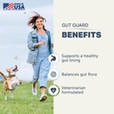 Four Leaf Rover Gut Guard - Dog Probiotics, Prebiotics, and Organic Herbs for Gut Health and Immune Support - Veterinarian Formulated - 30 Day Large Dog Supply 3