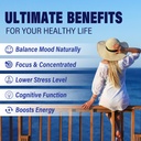 L Tyrosine Gummies 1100mg Mood Support Blend with Ashwagandha, L-Theanine, Vitamin B Complex B6, Folate B9, for Focus & Memory, Cognition & Brain Function, Energy Boost, Stress Support, Vegan 60Cts 6