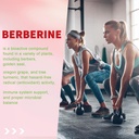 Berberine Gummies with Ceylon Cinnamon 1500mg High Potency Berberine HCL Supplement for Immune and Metabolism Support, Sugar Free Organic Berberine Gummies Raspberry Flavor. 6