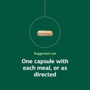 Standard Process Inc. Orchex - Whole Food Nervous System Supplements, Cholesterol, Mental Clarity and Emotional Support with Soy Protein, Ascorbic Acid, Calcium Lactate, Wheat Germ - 90 Capsules 6