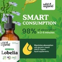Wild & Organic Lobelia Tincture - Lung Detox and Cleanse - Liquid Lobelia Herb Supplement - Vegan, Sugar & Alcohol-Free Leaf Extract Drops - 4 fl oz 5