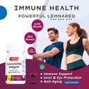 Free-Form Astaxanthin 6mg Softgel-60 Softgels Dietary Supplement Strongest Antioxidant Immune Supports Supports Eye,Joint & Skin Health Formulated with Sacha Inchi Oil 5