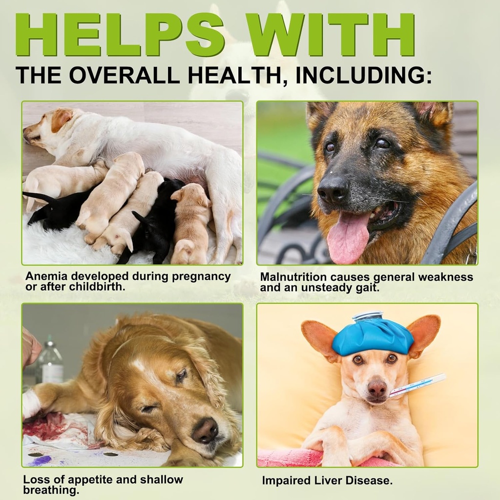 Milk Thistle for Dogs, 180 Chewable Tablets Milk Thistle Supplement for Dogs Natural Liver Support for Pets, Kidney Cleanse & Repair, Boosts Immune System Peking Duck Flavor 3