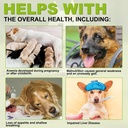 Milk Thistle for Dogs, 180 Chewable Tablets Milk Thistle Supplement for Dogs Natural Liver Support for Pets, Kidney Cleanse & Repair, Boosts Immune System Peking Duck Flavor 3