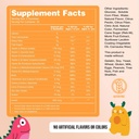 Naked Nutrition Kids Vitamin Gummies, Made in USA, GMO Free, Gluten-Free, Gelatin Free, Vegan, Kids Vitamins A, C, D, E, B6, B12, Zinc, 3 Fruit Flavors, 30 Day Supply 4