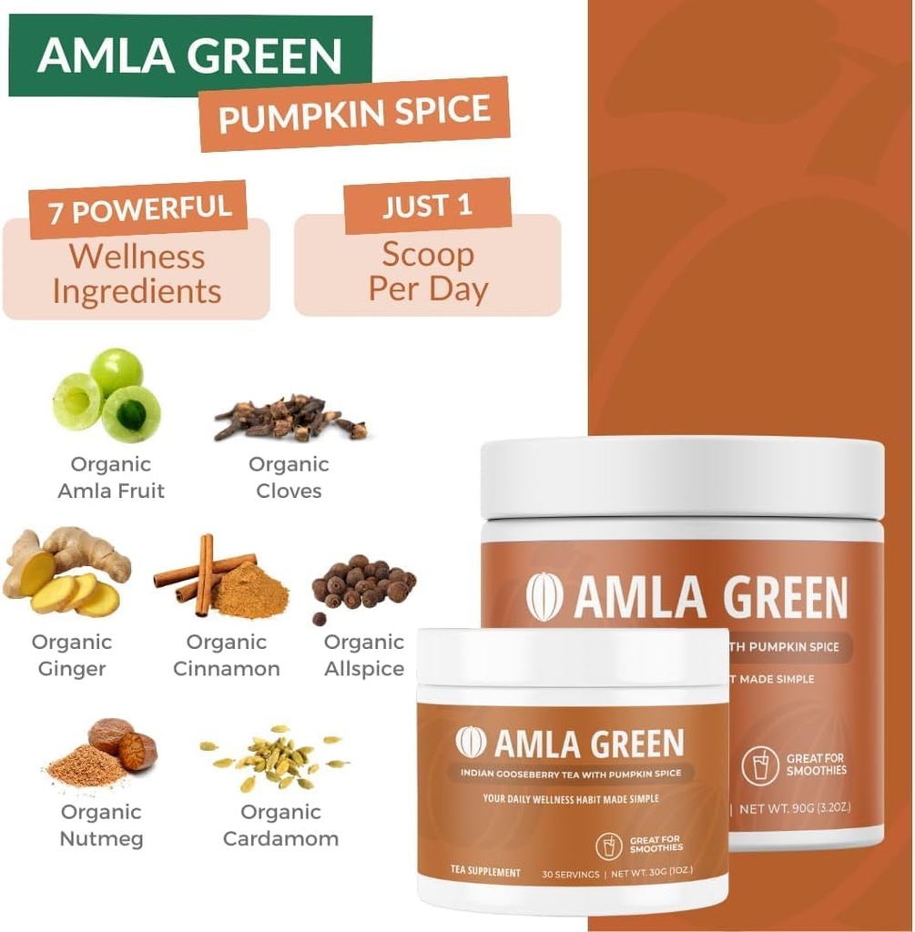 Amla Powder, Green Tea Superfood Supplement with Pumpkin Spice & Hibiscus & Elderberry, Organic, Vegan, 30 Servings 3